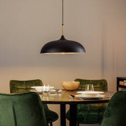 Eko-Light Lincoln pendant light, black/gold