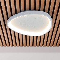 Näve Argesa LED ceiling light, Ø 60.5 cm, white, CCT, remote control