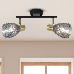 Näve Lindita ceiling light, 2-bulb, glass, smoke grey, E14