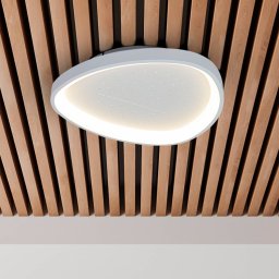 Näve Argesa LED ceiling light, Ø 42 cm, white, CCT, remote control