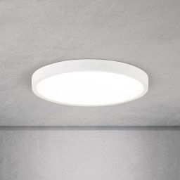 ORION LED ceiling lamp Disc, white Ø 28 cm, CCT, metal/plastic
