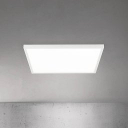 ORION LED ceiling lamp Disc, white, length 60 cm, CCT, metal