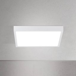 ORION LED ceiling lamp Disc, white, length 24 cm, CCT, metal