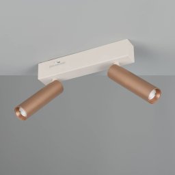 Trio Lighting Ambala LED ceiling spotlight, length 26 cm, grey/brown, 2-bulb.