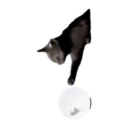 Karman Maoo wall light, black ceramic, glass, cat figurine