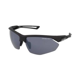 Sunglasses Alpina Nylos HR Black Matt/CM Black