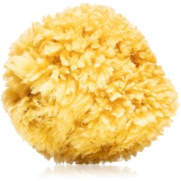 Magnum Natural Caribbean Sea Sponge 14- 16 cm