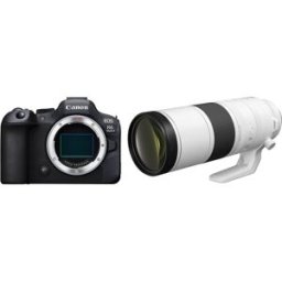 Canon EOS R6 Mark II + RF 200-800mm f/6.3-9.0 IS USM