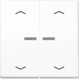 JUNG JG BTAS17102PWW - Bluetooth pushbutton, dual, alpine white, arrow symbols
