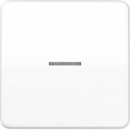 JUNG JG BTCD17101WW - Bluetooth pushbutton, single, alpine white