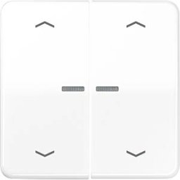 JUNG JG BTCD17102PWW - Bluetooth pushbutton, dual, alpine white, arrow symbols