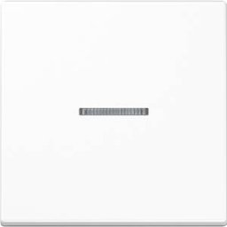 JUNG JG BTA17101WW - Bluetooth pushbutton, single, alpine white