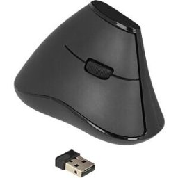 DELOCK 12622 - Mouse (mouse), radio, vertical, right-handed