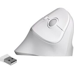 DELOCK 12596 - Mouse, wireless, vertical, right handers