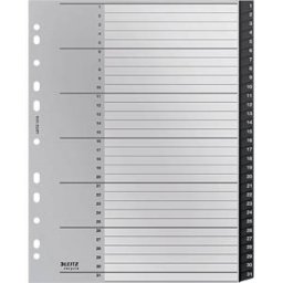LEITZ 12180000 - Plastic dividers A4 (1-31), Recycle