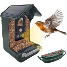 BERGER+SCHRÖTER BS 32416 - Wild camera, bird feeder, solar