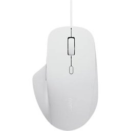 RAPOO N500 WS - Mouse, USB, white