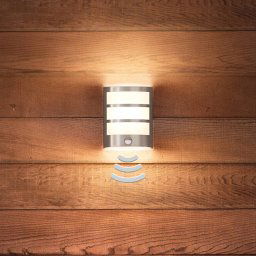 Philips Python LED sensor outdoor wall lamp stainless steel