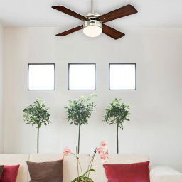 Westinghouse Colosseum fan with light