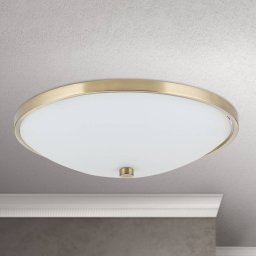 ORION Tayla Ceiling Light Fine 39.5 cm