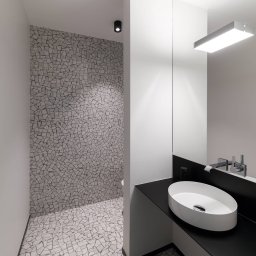 Egger Licht EGG DLS LED downlight Clippo, dimmable-to-warm, dimmable