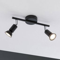 Paulmann Carolina downlight, two-bulb IP44