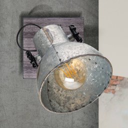 EGLO Barnstaple industrial design ceiling light, 1-bulb