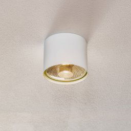 ALDEX Bot downlight, white, 1-bulb