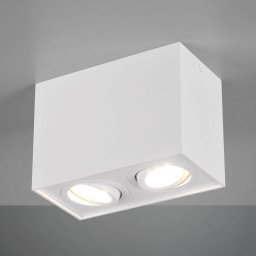 Trio Lighting Biscuit ceiling light, two-bulb, white