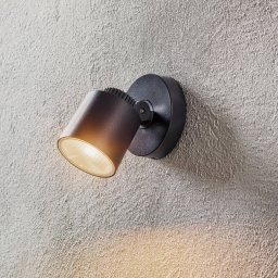 LUTEC Explorer LED outdoor wall light