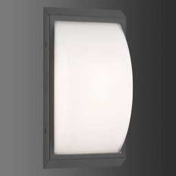 LCD 053 outdoor wall light, motion detector, graphite
