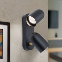 ORION Bradley wall light, two-bulb, pivotable