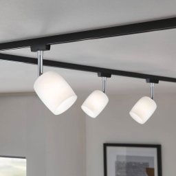 Paulmann URail Spot Blossom black, satin glass