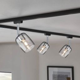 Paulmann URail Spot Blossom black, smoked glass