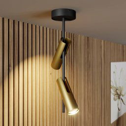 SIGMA Leda 2 downlight, 2-bulb, black-gold