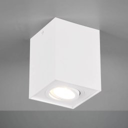 Trio Lighting Ceiling light Biscuit, one-bulb, white