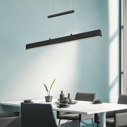Reality Leuchten Paros LED hanging light, switch dimmer black