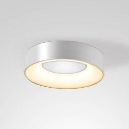 EVN LED ceiling light Sauro, Ø 30 cm, silver