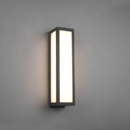 Trio Lighting LED outdoor wall light Fuerte, anthracite, aluminium, IP54