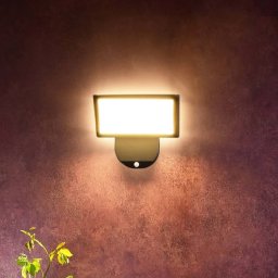 Deko-Light LED outdoor wall light Alkes L with sensor, 30 cm