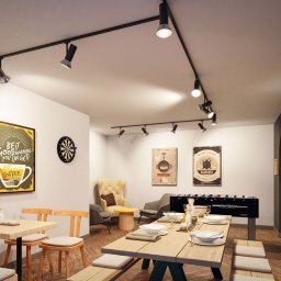 Paulmann Apol URail spot black matt