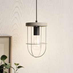 Envostar Neptuna pendant light, 1-bulb