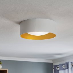Euluna Moss ceiling light, white/gold