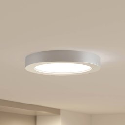Prios LED ceiling light Edwina, silver, 25 cm, CCT, IP44