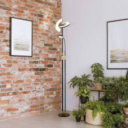 Searchlight Gio LED floor lamp, satin brass/black