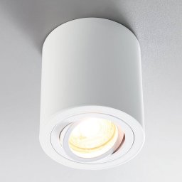 Heitronic ADL9301 spotlight, white
