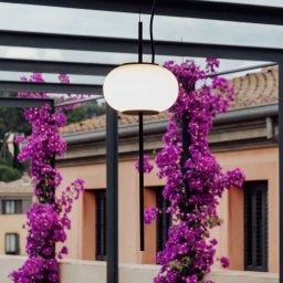 Milan Iluminación Milan Astros hanging light, height-adjustable