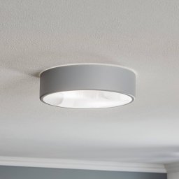 TEMAR LIGHTING Cleo 300 ceiling light, IP54, Ø 30 cm, grey