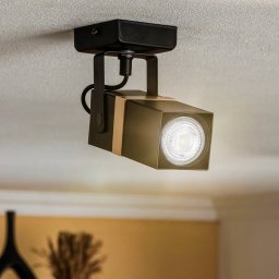 Eko-Light Vidar ceiling spotlight, black, 1-bulb