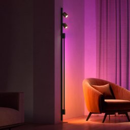 Philips Hue Perifo 2x Spots, Gradient Tubes black